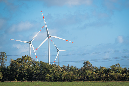 Windmills for power generation behind a couple of trees with blue sky in daylight at a summer day