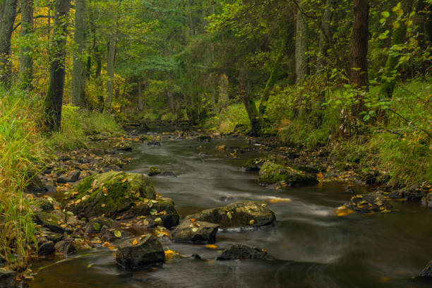 Pramensky creek near Mnichov and Sitiny villages in autumn dark cloudy morning stock photo