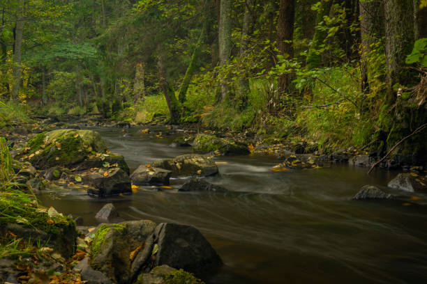 Pramensky creek near Mnichov and Sitiny villages in autumn dark cloudy morning stock photo