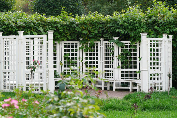 istock A pavilion or gazebo in a beautiful park. 1434208131