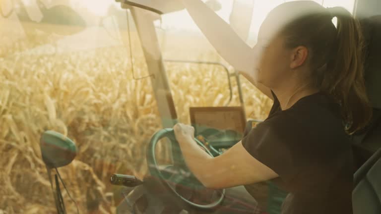 SLO MO female farmer operating a modern combine harvester with steering wheel and control lever. A woman working in a corn field in autumn