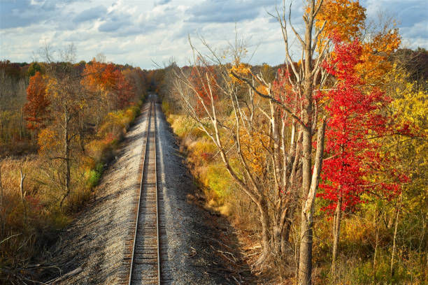 Straight track in autumn stock photo