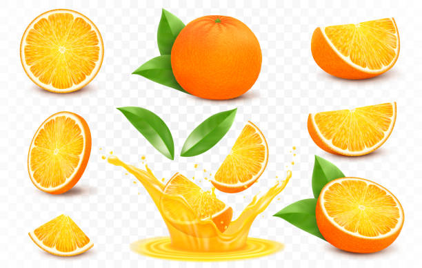 신선한 오렌지 과일 전체와 조각, 오렌지 주스의 튀김. 투명한 배경에 고립 된 3d 사실적인 벡터 아이콘 세트 - 오렌지 감귤류 과일 stock illustrations