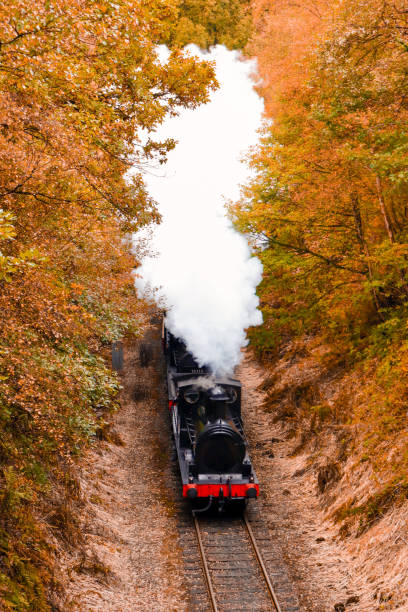 istock steam train in autumnal woodland 1434214311