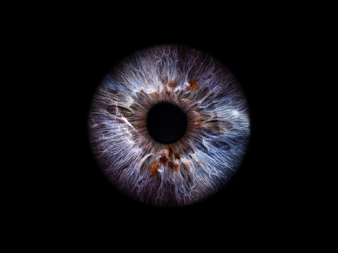 Detailed view of the iris within the eye. Taken close up