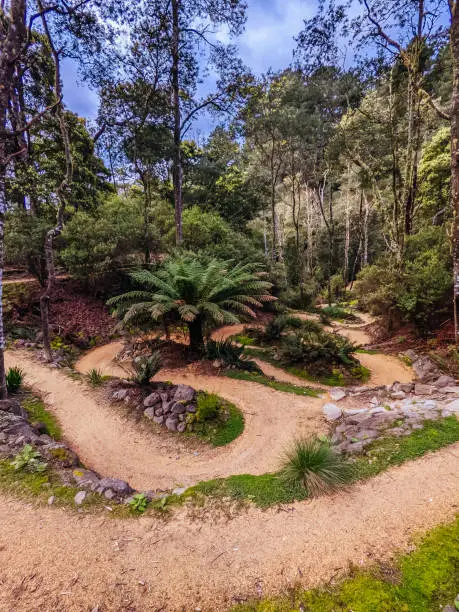 Photo of Blue Derby Bike Network Tasmania Australia