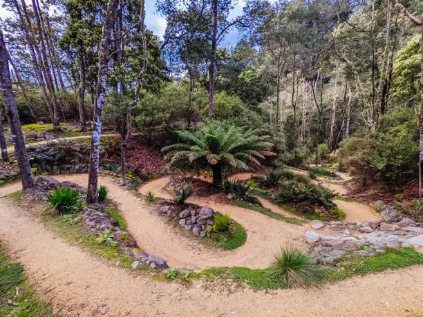 Photo of Blue Derby Bike Network Tasmania Australia