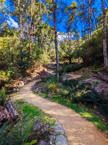 Photo of Blue Derby Bike Network Tasmania Australia