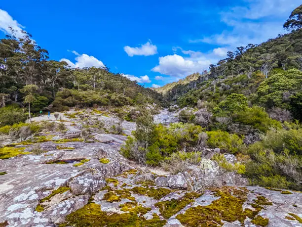 Photo of Blue Derby Bike Network Tasmania Australia