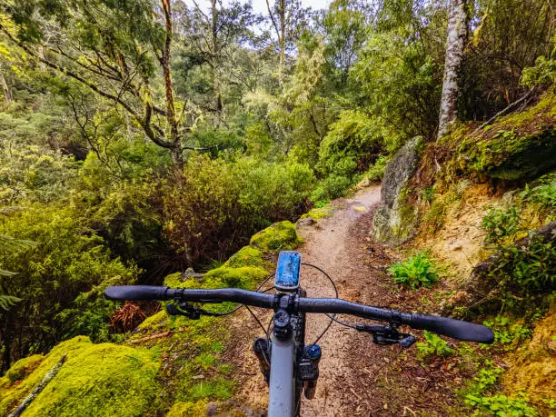 Photo of Blue Derby Bike Network Tasmania Australia