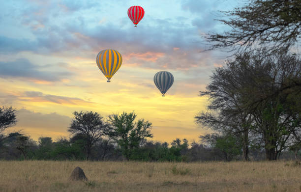 istock Hot Air Balloons 1434218484