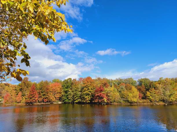 istock Colorful forest reflecting on tranquil lake 1434218870