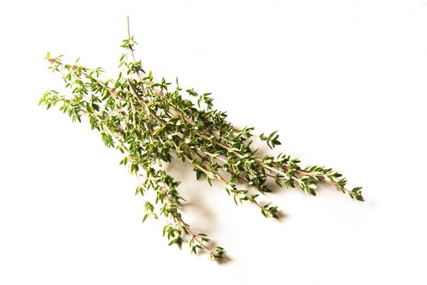 istock Closeup of a bunch of fresh Thyme shrubs on a white surface 1434220563