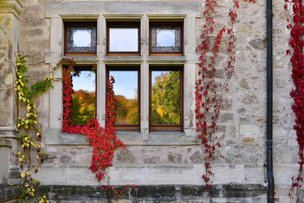 istock Windows of Altenstein Castle 1434220967