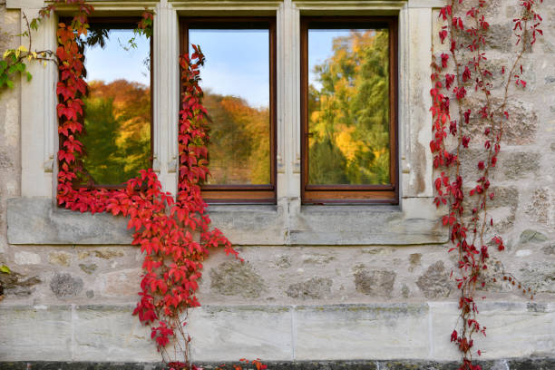 istock Windows of Altenstein Castle 1434220999