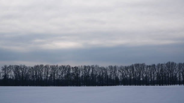istock Winter landscape. Snowy field, trees on the horizon. Sunlight struggles through the dense winter clouds. 1434221189