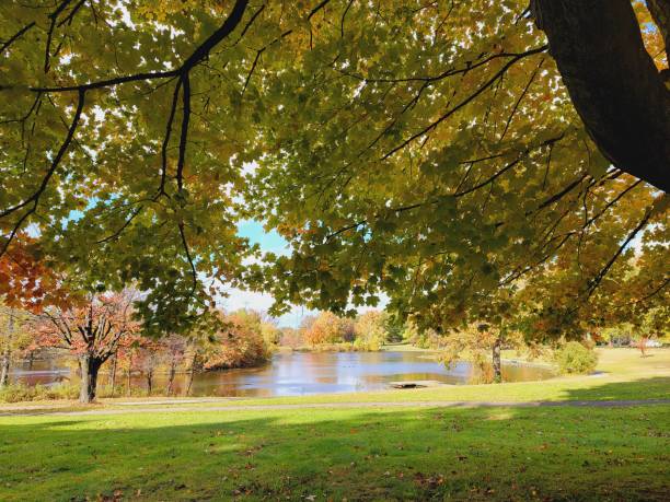 istock Lake through colorful trees 1434221222