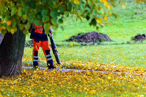 A worker in the park sweeps away autumn leaves with a stream of air from a special device