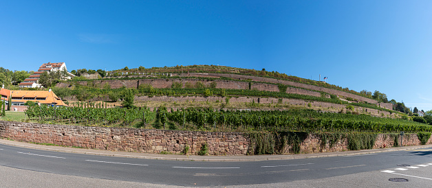 View of the National Memorial of Forced Incorporated and the terraced vines