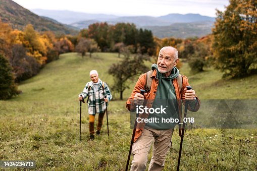 istock Senior hikers enjoying walk in autumn nature. 1434234713
