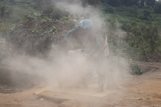 Bétaré-Oya, Cameroon- September 10, 2018: A man crushes stones in a machine. In this richly soiled locality in eastern Cameroon, artisanal gold mining keeps many people busy. They collect stones from artisanal gold digging sites and crush them in search of gold.