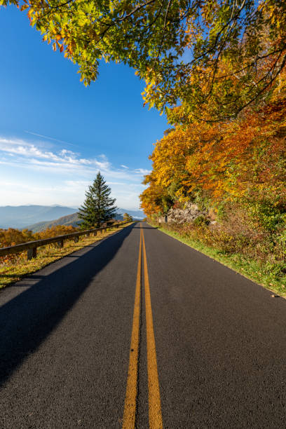 beautiful fall foliage of pisgah national forest with a vibrant sunrise on the blue ridge parkway' craggy gardens area around asheville north carolina usa - mountain mountain range north carolina blue imagens e fotografias de stock