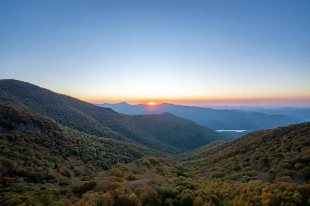 Photo of Beautiful Fall Foliage of Pisgah National Forest with a Vibrant Sunrise on the Blue Ridge Parkway' Craggy Gardens Area Around Asheville North Carolina USA