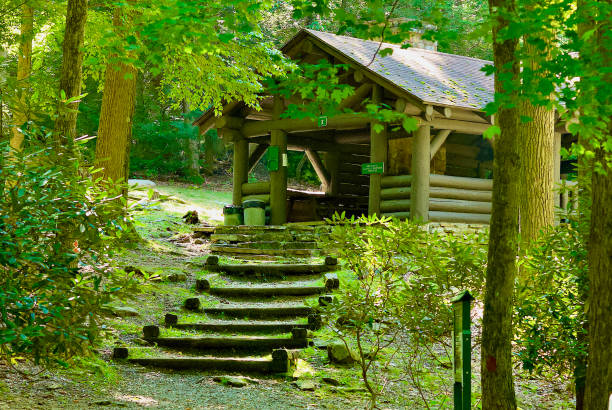 Picnic Shelter, Coopers Rock State Forest, West Virginia (USA) stock photo