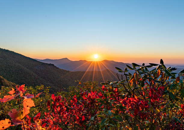 beautiful fall foliage of pisgah national forest with a vibrant sunrise on the blue ridge parkway' craggy gardens area around asheville north carolina usa - mountain mountain range north carolina blue imagens e fotografias de stock