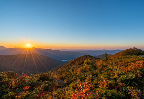Beautiful Fall Foliage of Pisgah National Forest with a Vibrant Sunrise on the Blue Ridge Parkway' Craggy Gardens Area Around Asheville North Carolina USA Beautiful fall foliage with a vibrant sunrise on the Blue Ridge Parkway Craggy Gardens area near Asheville North Carolina USA fall in north carolina stock pictures, royalty-free photos & images