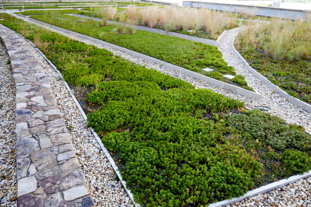 Rooftop gardens in an urban development stock photo