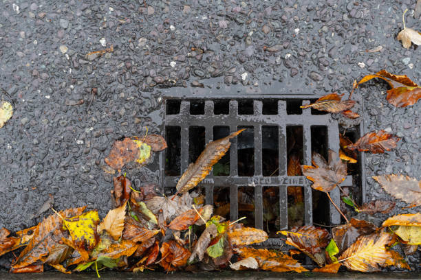 istock Old iron grates with rust through a long time. iron grating in asphalt with autumn leaves, rain, autumn, october 1434254319