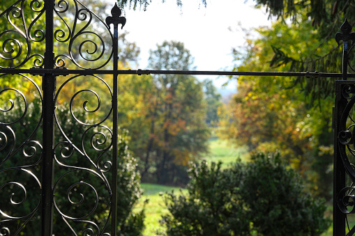 Image of a Beautiful decorative cast iron wrought fence with artistic forging. Metal guardrail close up.