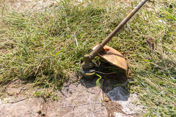 istock A mature man with a trimmer cuts grass and weeds with a trimmer. 1434260572