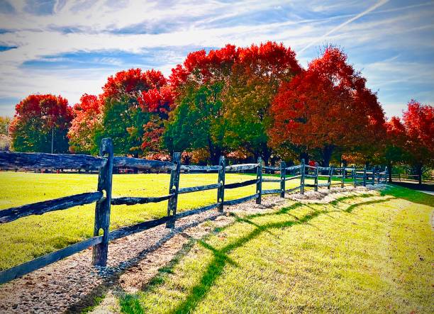 istock Early Morning in Autumn 1434262041