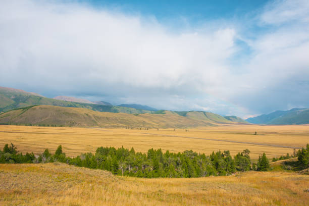 vue spectaculaire de la forêt à la haute chaîne de montagnes à la lumière du soleil pendant la pluie par temps changeant. paysage coloré avec forêt verte et steppe ensoleillée contre de grandes montagnes sous un ciel nuageux sous la pluie. - grass area hill sky mountain range photos et images de collection