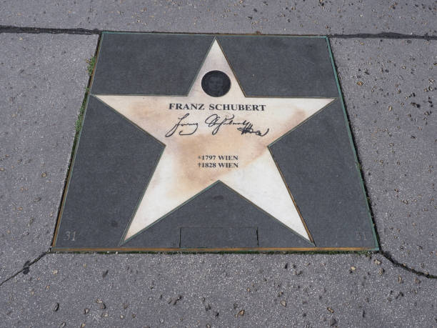 Walk Of Fame Star Of Musician Franz In Vienna Stock - Download Image Now - iStock