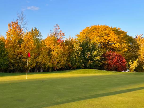 istock Golf Green in Autumn 1434263911