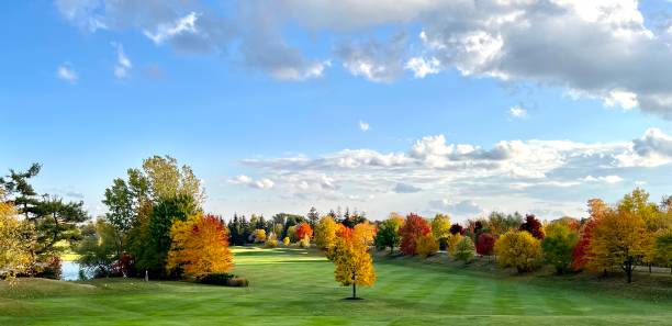 campo da golf in autunno - golf panoramic golf course putting green foto e immagini stock