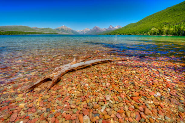 lac mcdonald, montana - flathead national forest photos et images de collection