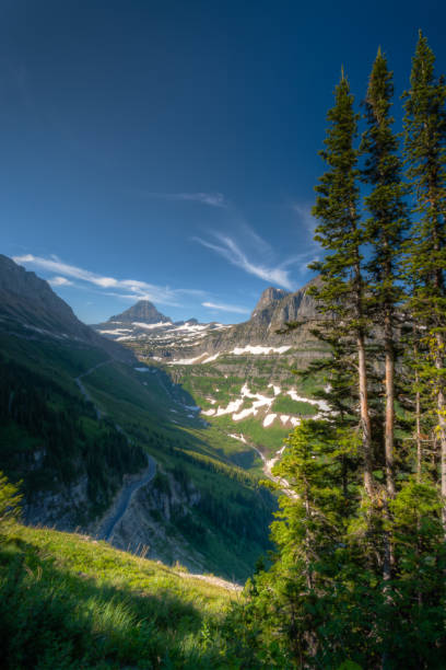 vers le sun road - flathead national forest photos et images de collection