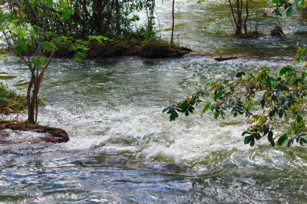rapids on the Rio Paraiba do Sul, which winding between small islets - GUARAREMA,  SAO  PAULO,  BRAZIL.