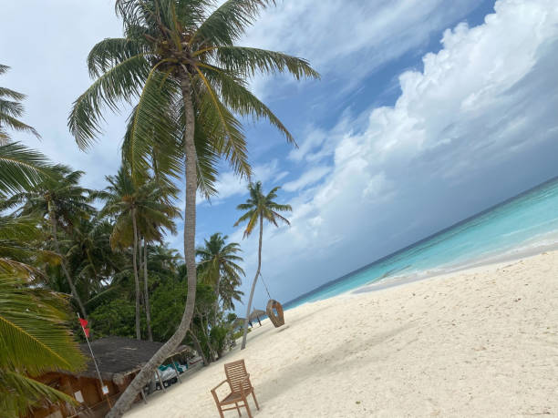 istock Maldives, ocean, sea, beach, palm trees 1434266994