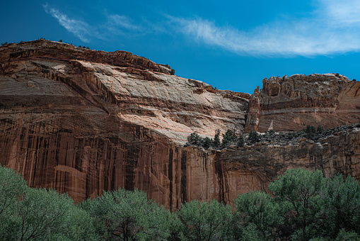 Capitol Reef National Park, mount, trees and splendour.