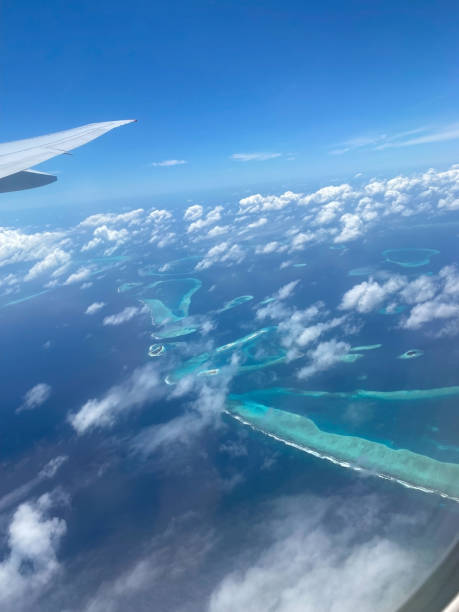 istock Maldives, ocean, sea, beach, palm trees 1434267568