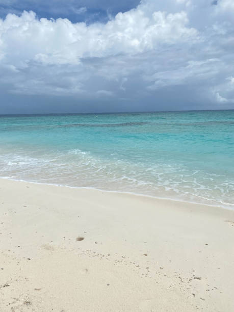 istock Maldives, ocean, sea, beach, palm trees 1434268257
