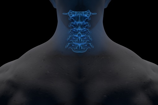 Medical illustration about Sacrum.3d rendering. No AI create.