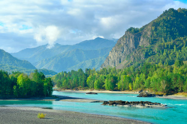 Katun Valley in the Altai Mountains Katun Valley in the Altai Mountains. The emerald water of a mountain river among the rocky mountains under a cloudy sky. Altai Republic, Siberia, Russia, 2022 western siberia stock pictures, royalty-free photos & images