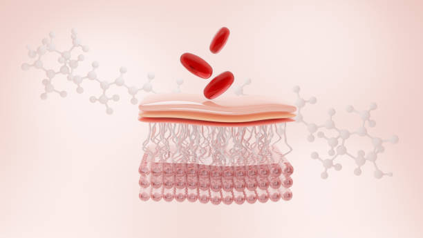 istock Astaxanthin capsule and skin cell 1434287965