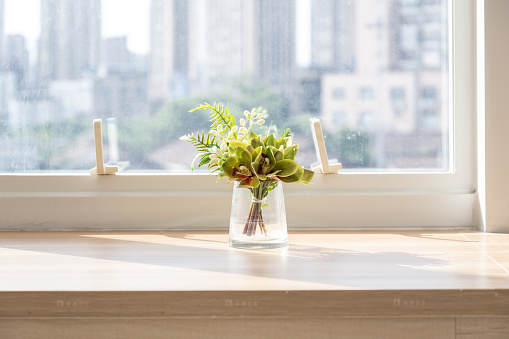 Green plants on the wooden table
